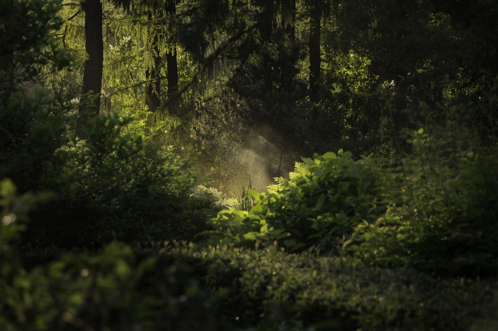 Photograph by Marina