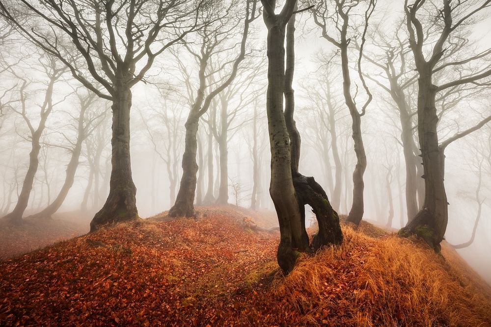 Waiting for the winter