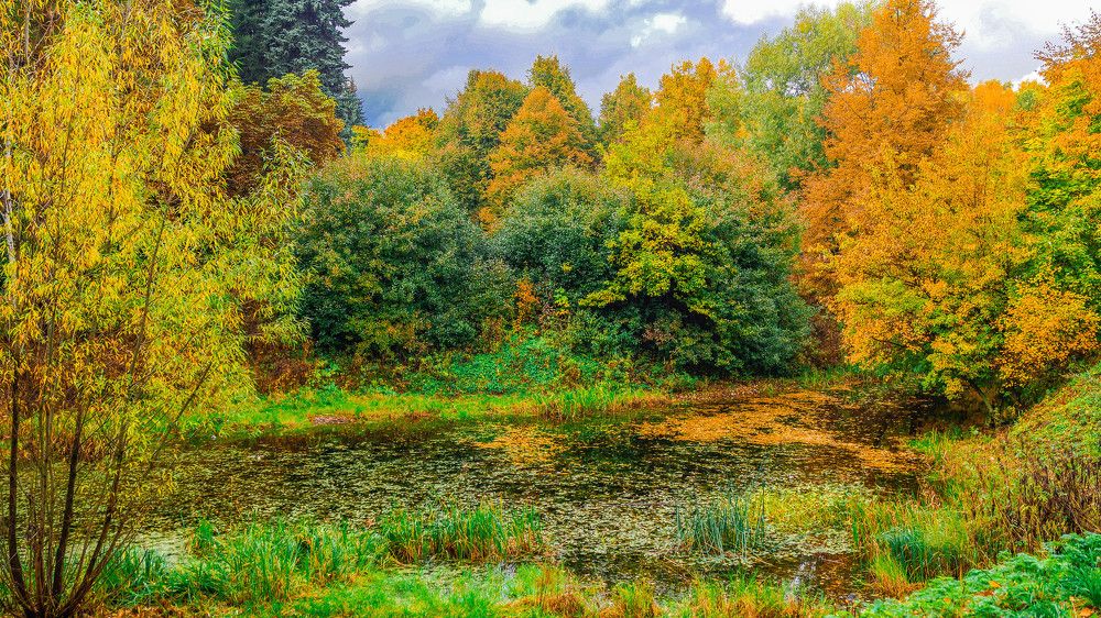 золотая осень