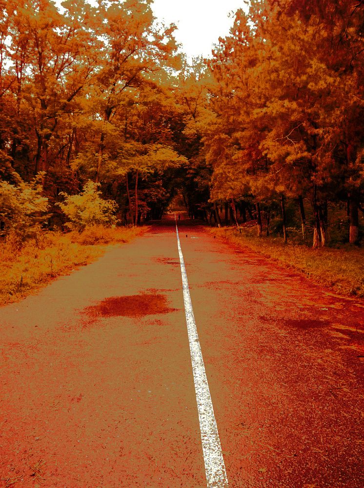Running in the morning