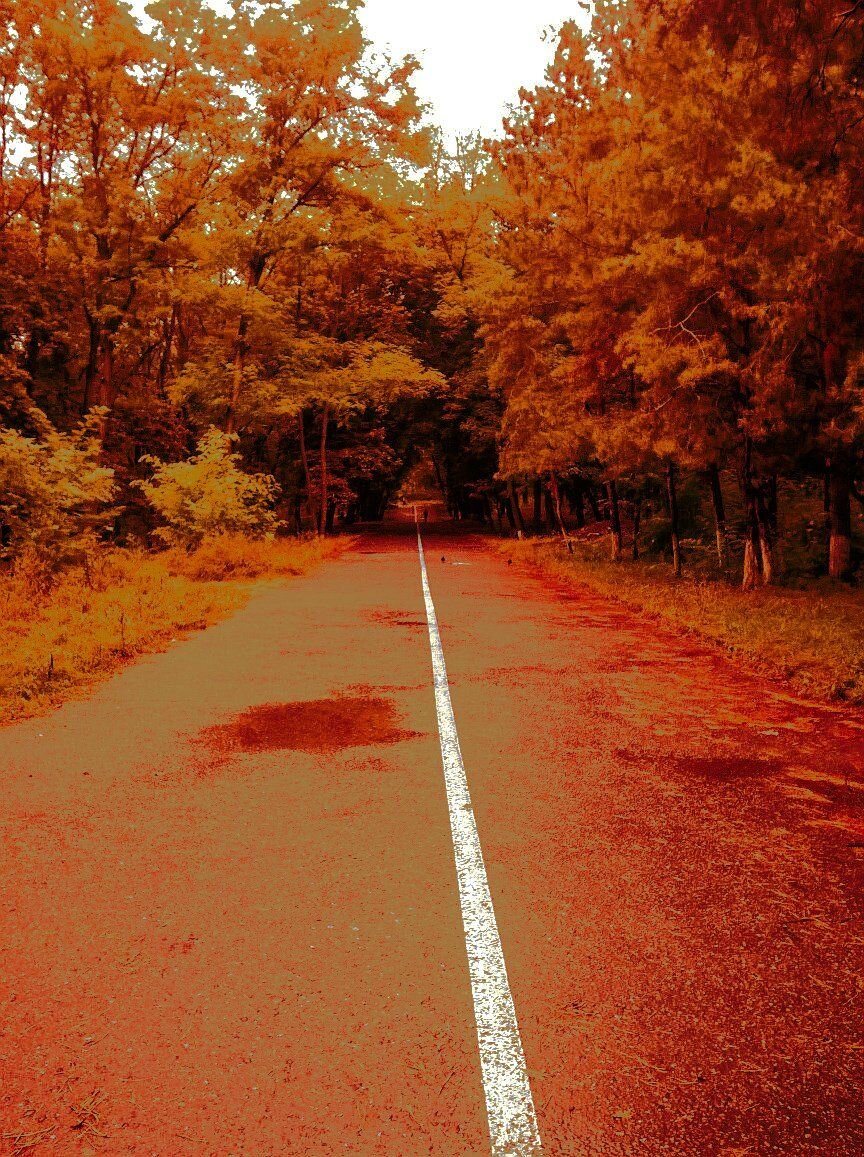 Running in the morning