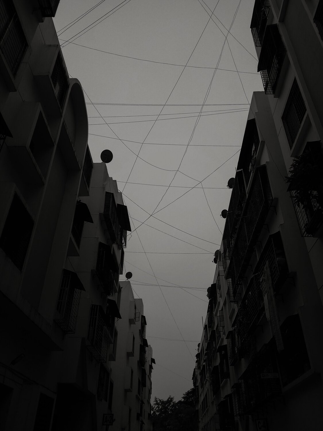 Photo #3009310