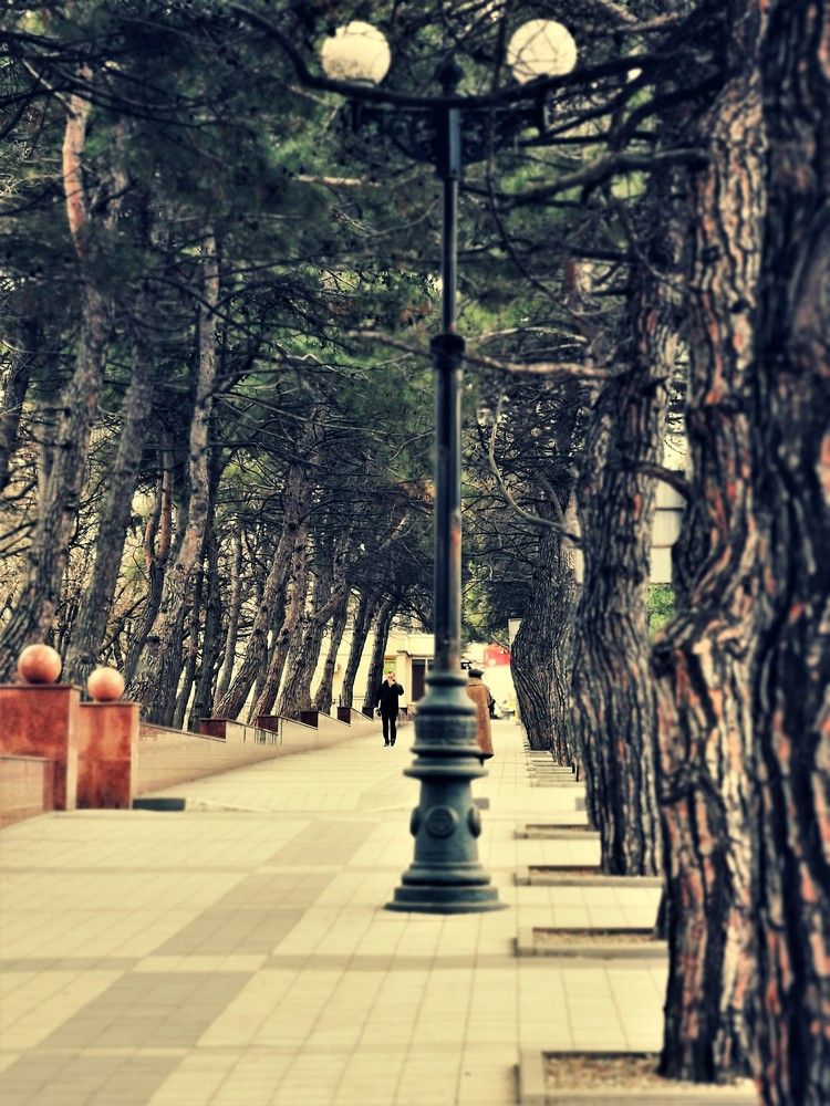 по улицам Новороссийска