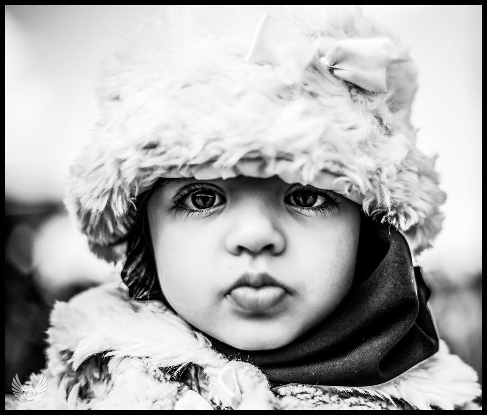 Photograph by mehdi yaghoobi