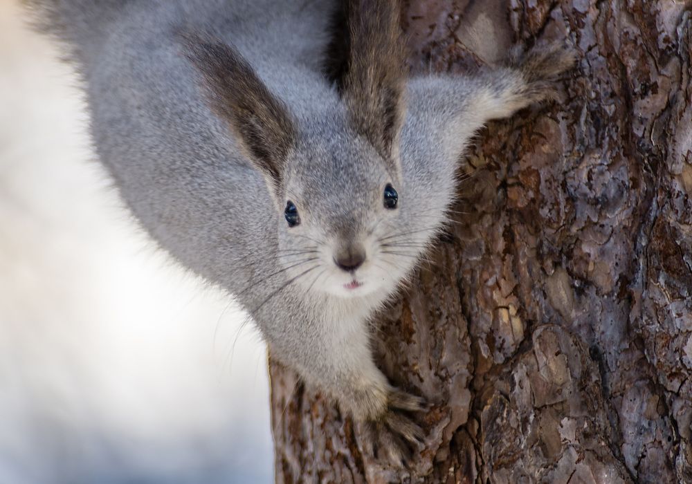 Photograph by Виктор Петров