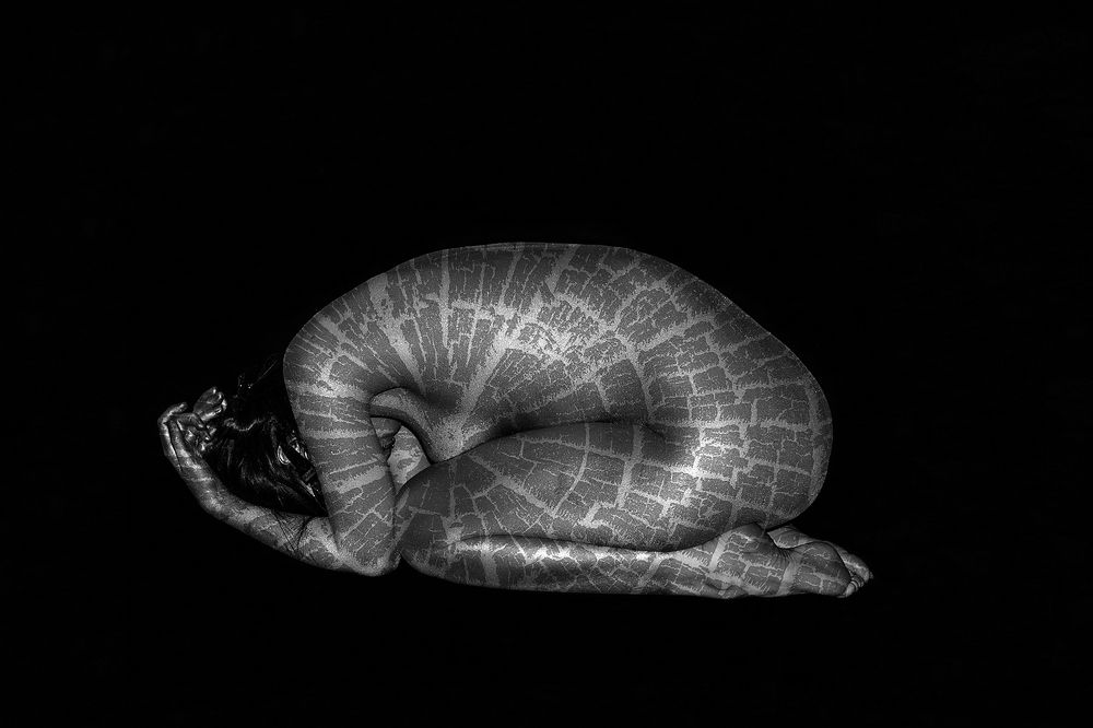 Срез дерева