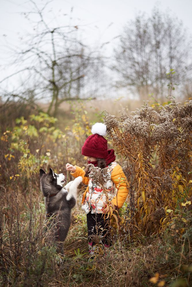 Крепкая дружба