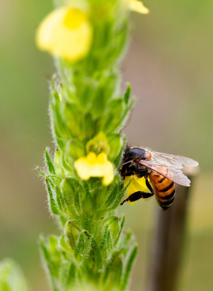 Photograph by Amy May Holt