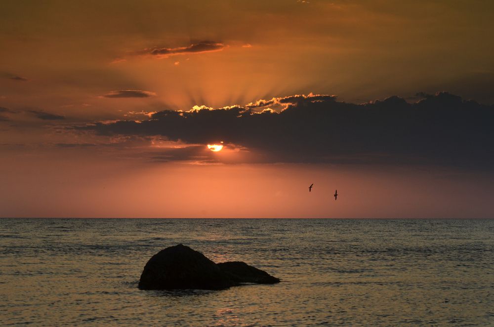 Photograph by Михаил Колтухов