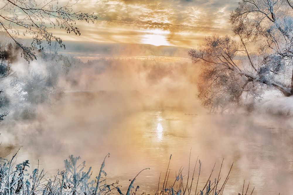 Photograph by Владислав Мотузенко