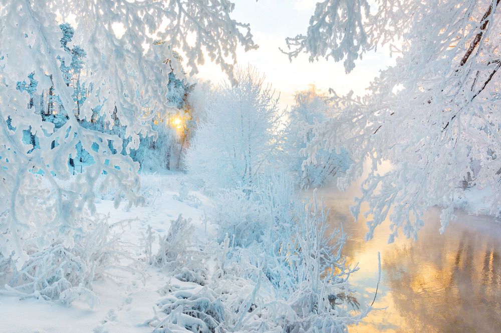 Photograph by Владислав Мотузенко