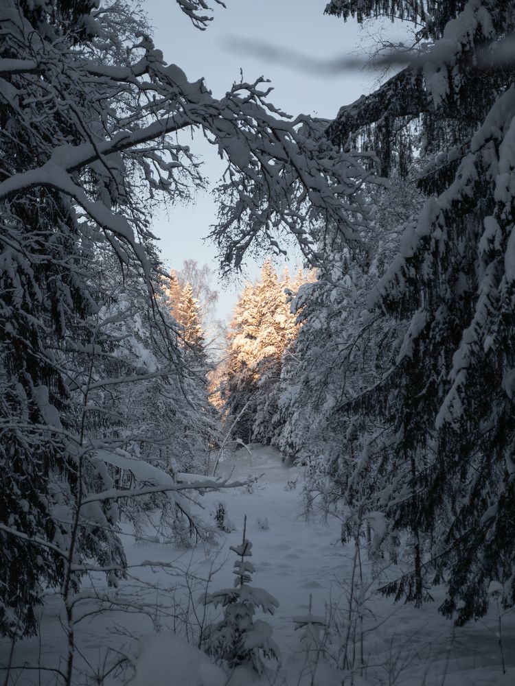 Свет и Цвет.