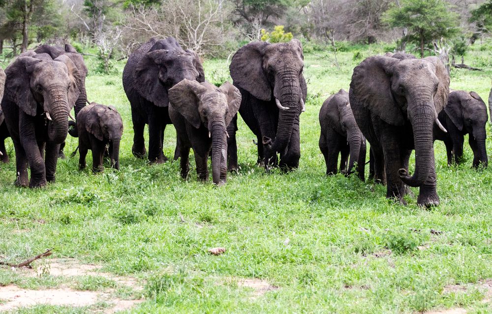 Photograph by Amy May Holt