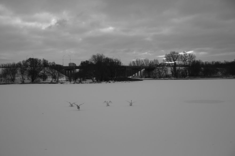 Photograph by Андрей Григорьев