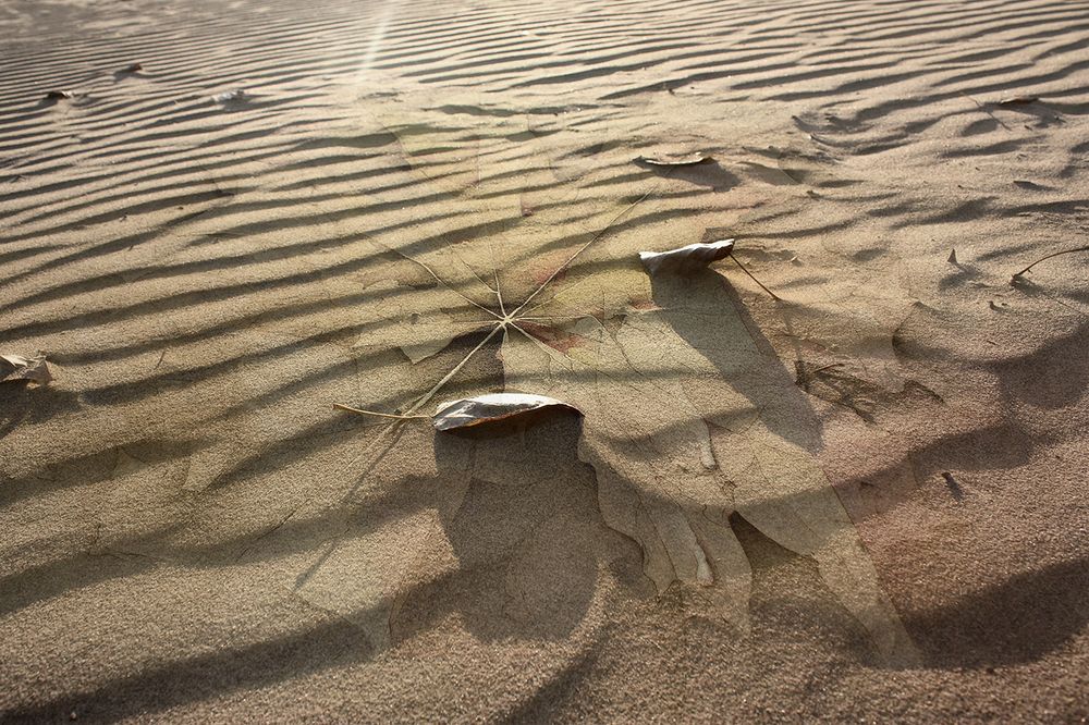 Рисунок на песке