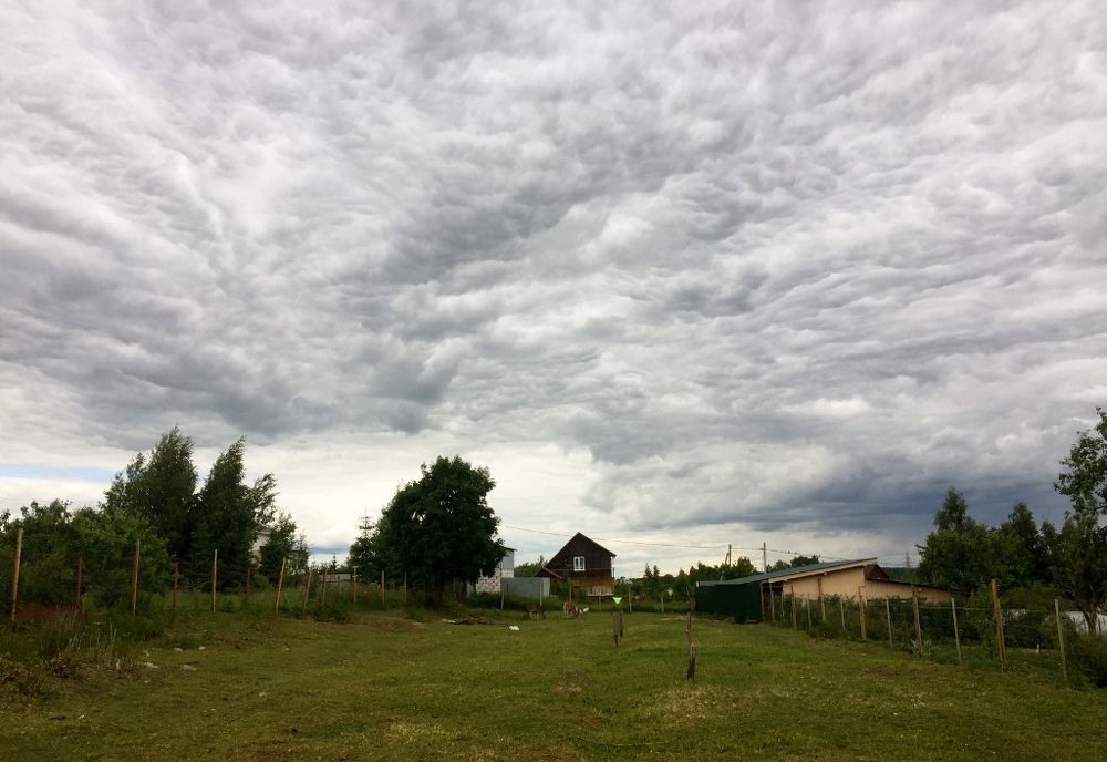 Сountryside