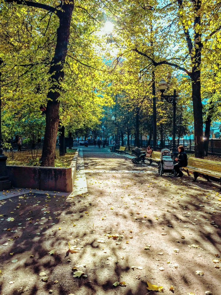 Осень в парке