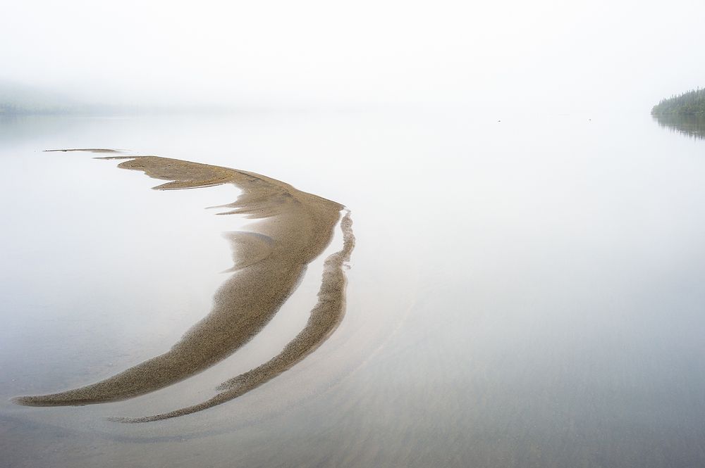 Рыба в тумане...