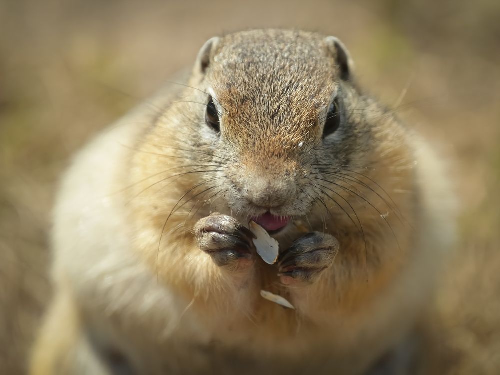 Photograph by Денис Бутин