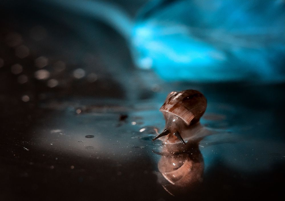 Я-ль на свете всех милее?