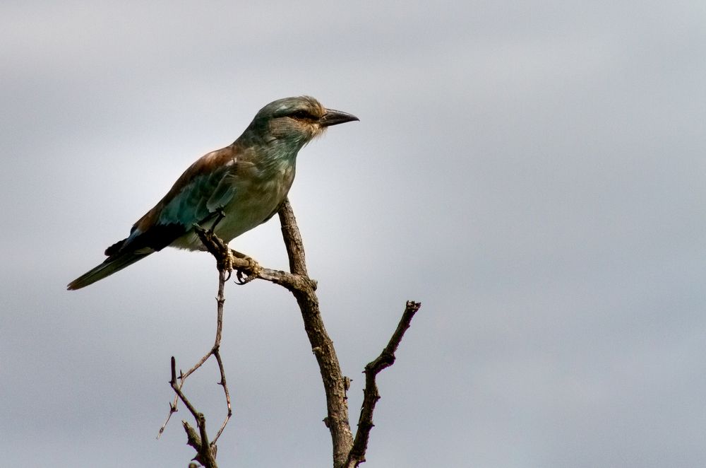 Photograph by Amy May Holt