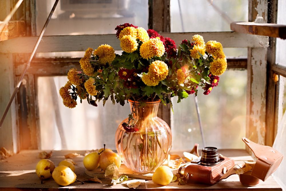 Осень на веранде...