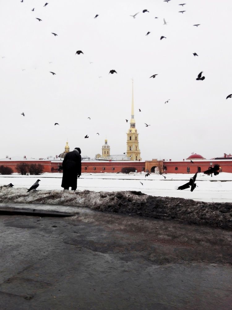 Photograph by Александр Стрелков