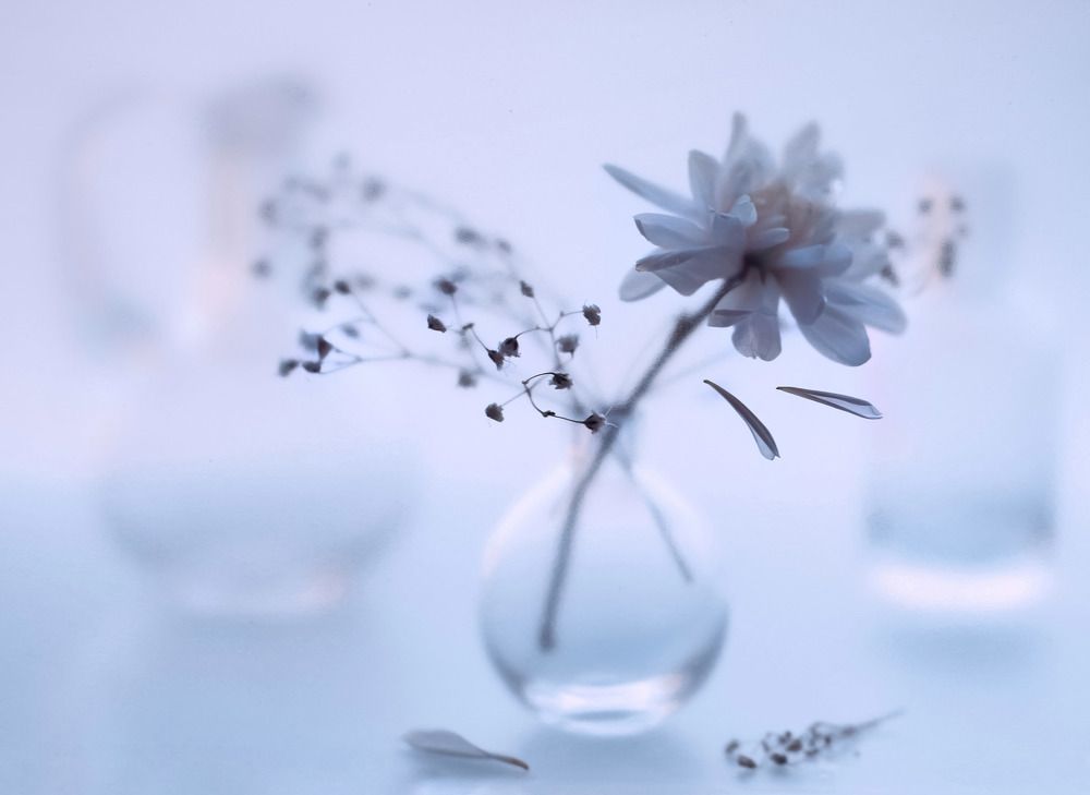 Серия "В туманном плену "