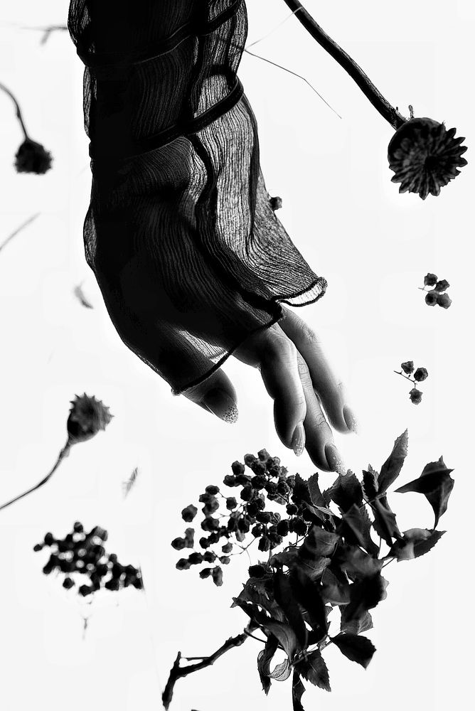 Прикоснуться к прекрасному