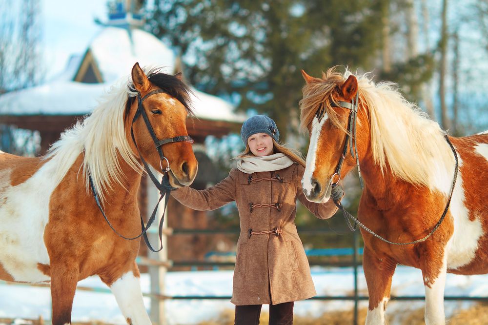 Девочка с лошадьми