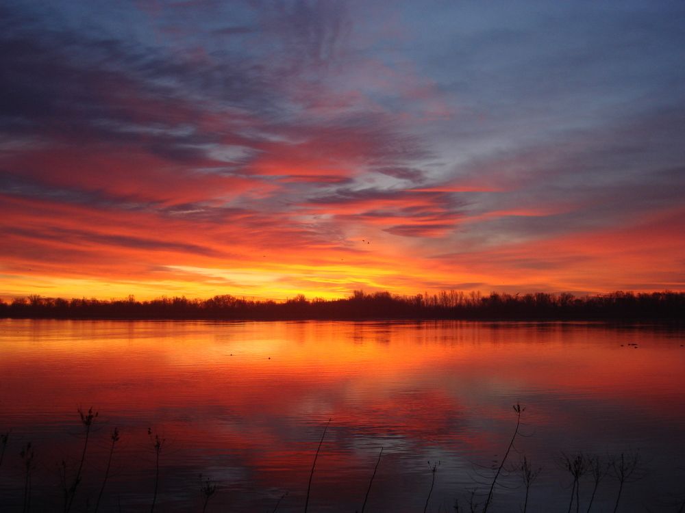 Алый рассвет...