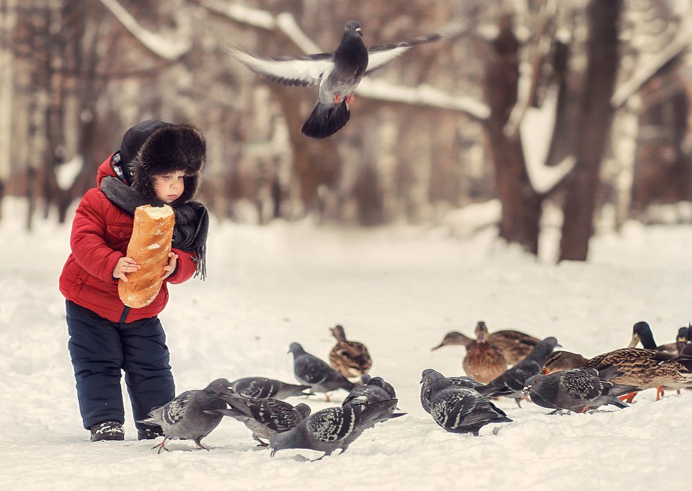 Родион и голуби