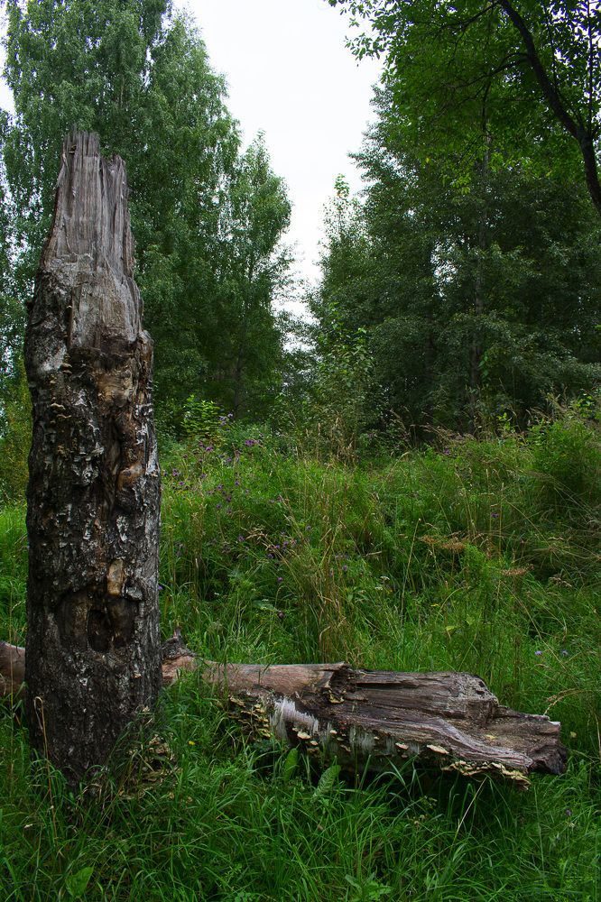 Деревянный угол