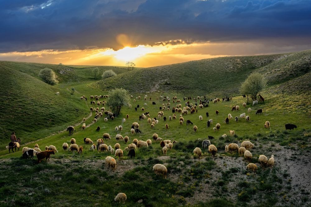 Time to come back home