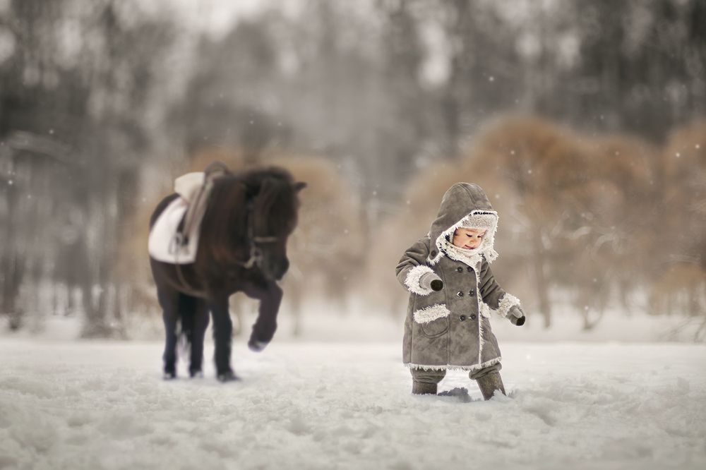 мы по полю с конем