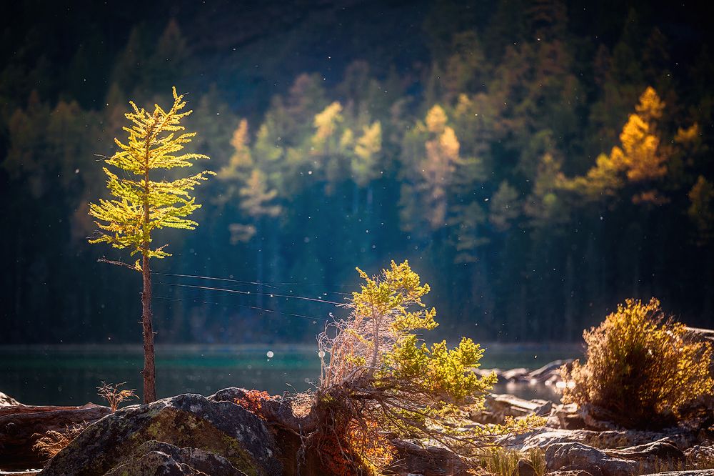 Сияние света...