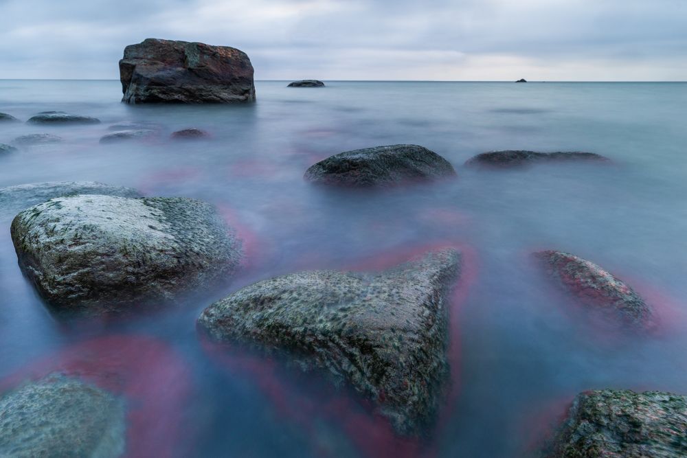 Photograph by Raigo Tõnisalu