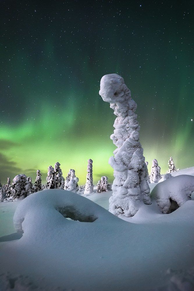 «Хранитель севера»