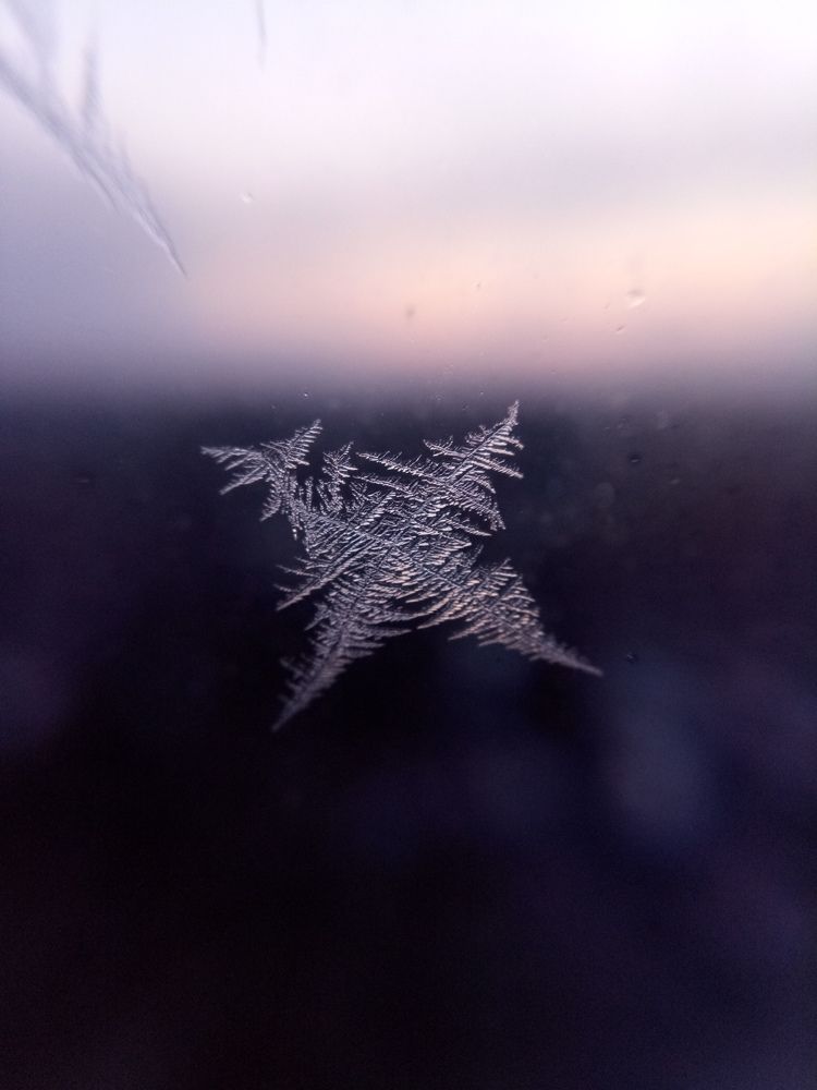 Photograph by Лена Латова