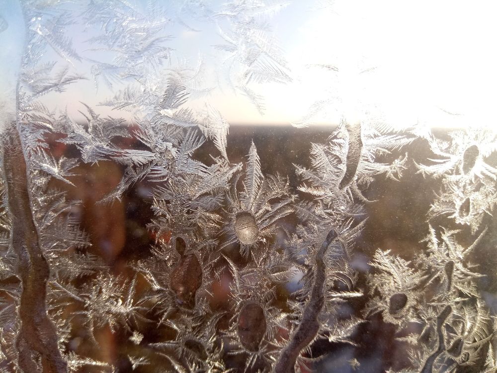 Photograph by Лена Латова