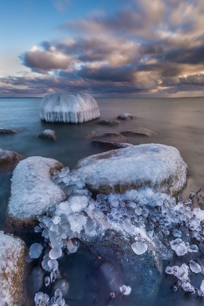 Photograph by Raigo Tõnisalu