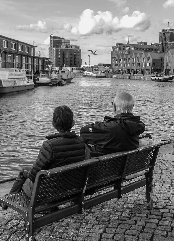 Фотография автора mohamadjavad yavarinaman