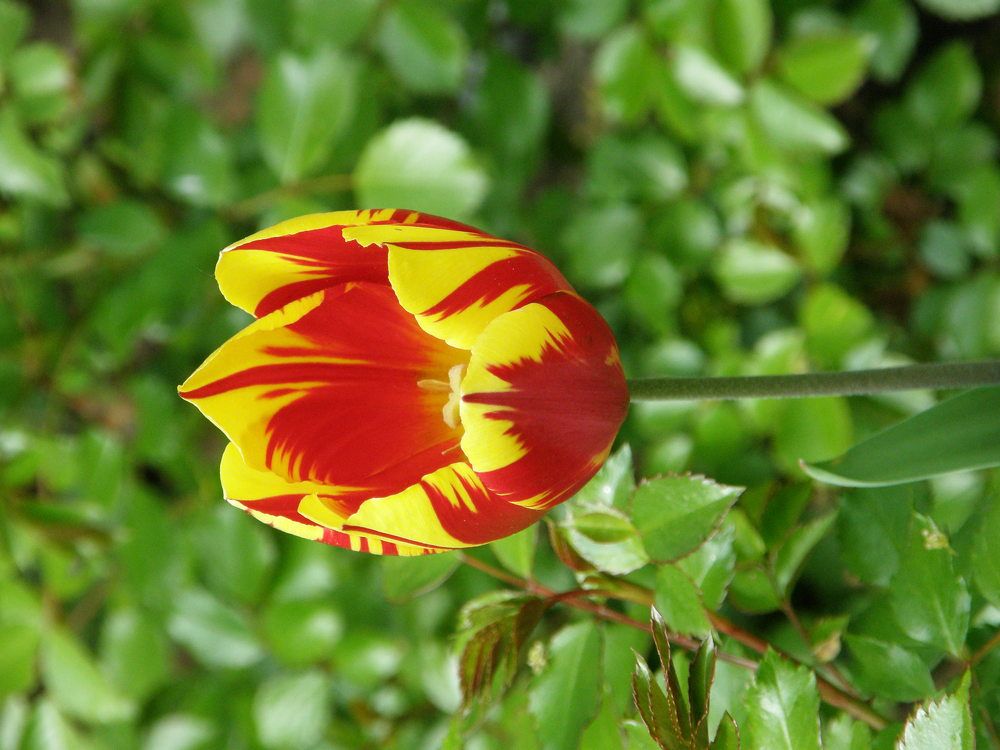 Photograph by Katarzyna Berić