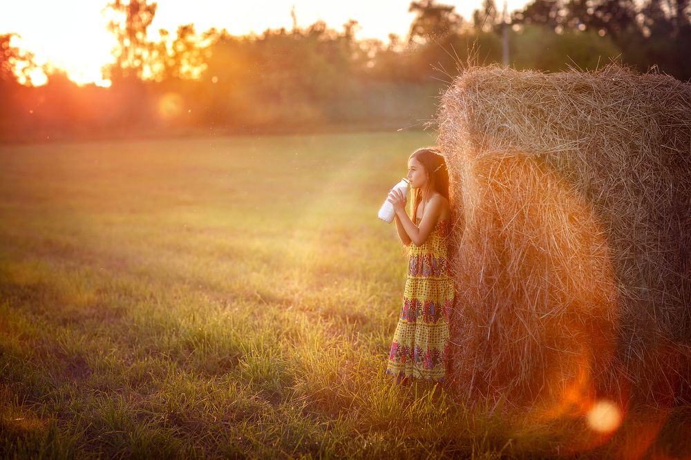 Летние вечера