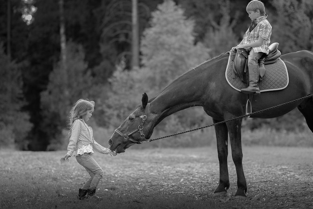 Конная прогулка