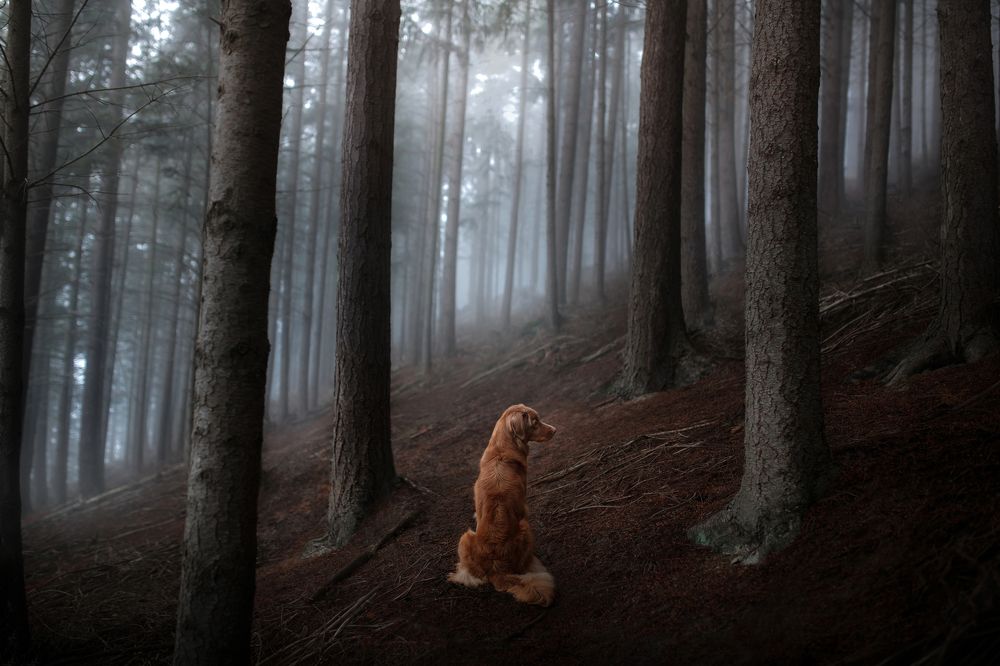 Photograph by Анна Аверьянова