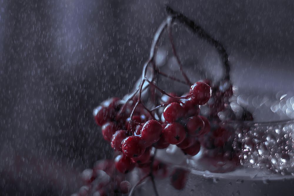 Осенняя грусть