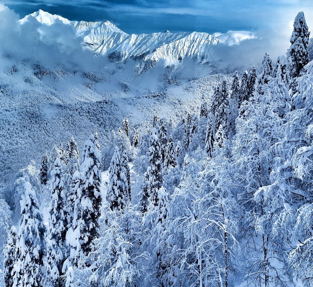 Зимнии зарисовки