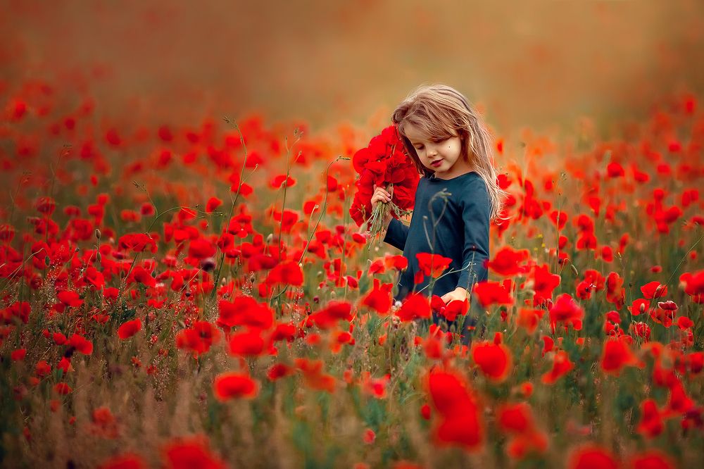 Красные маки