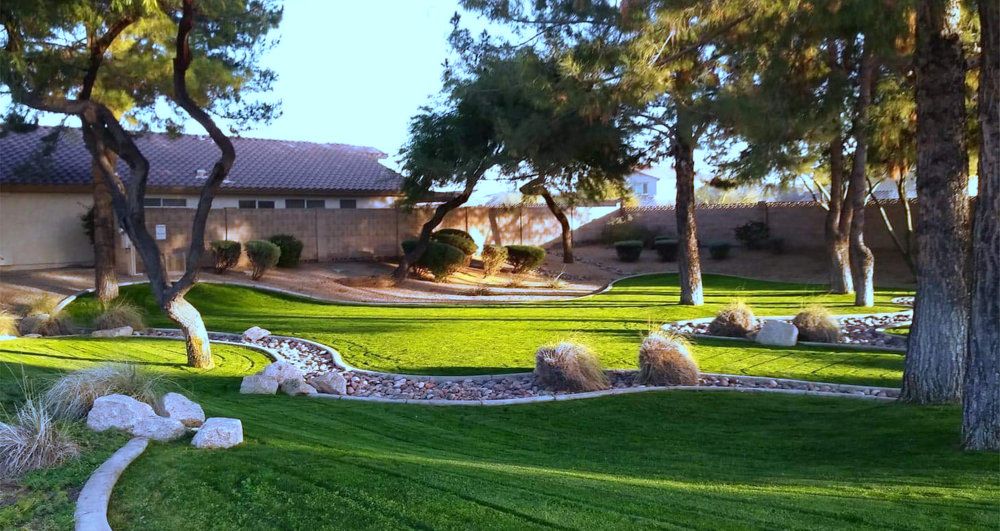 Phoenix.Oasis in the desert